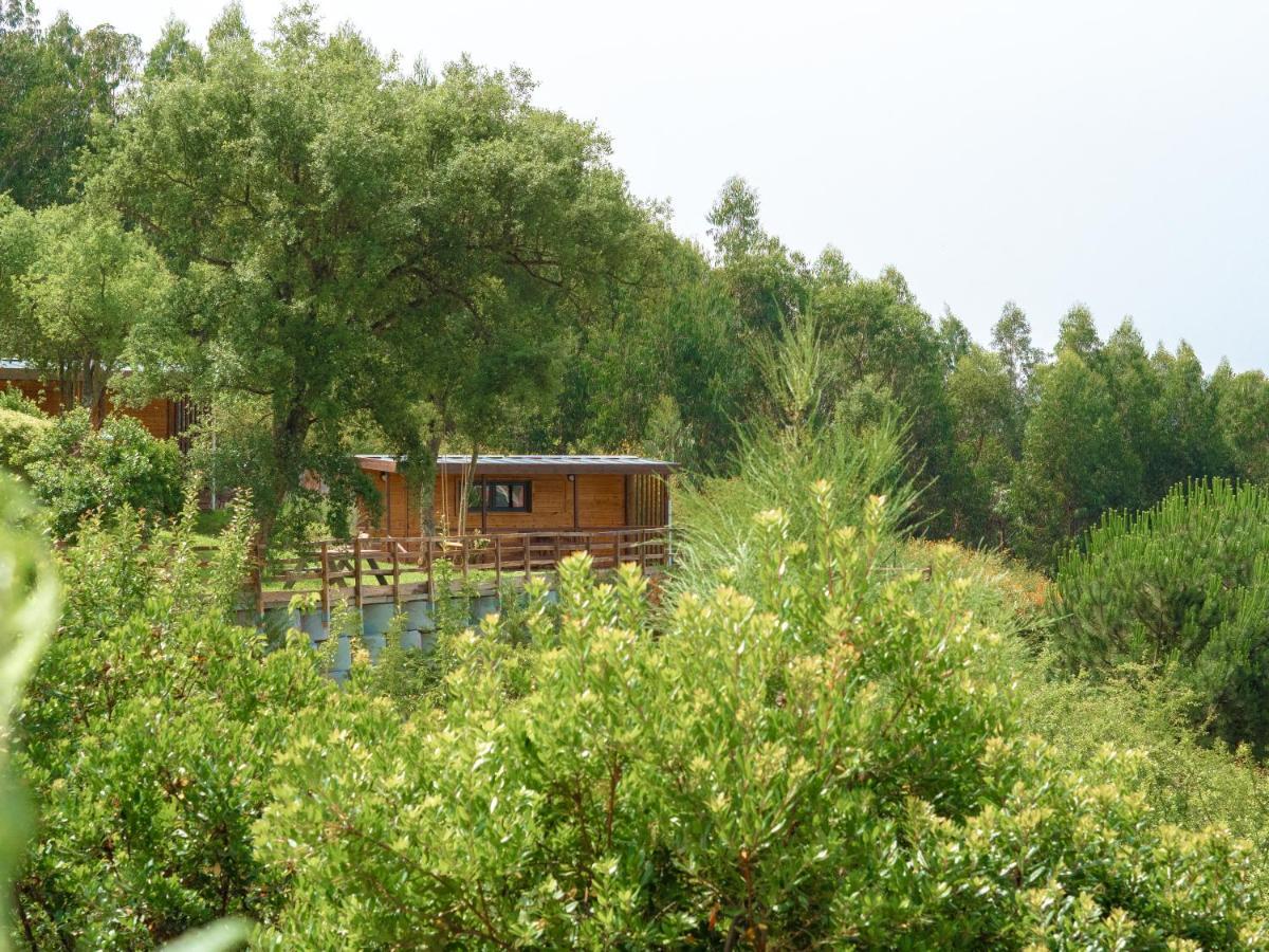 Naturena Agro-Turismo Durrães Eksteriør billede